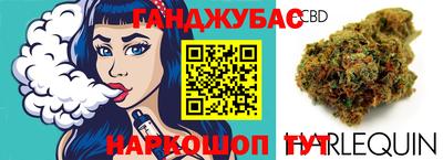 дмт Канаш