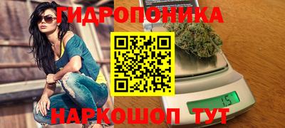 jwh Кандалакша