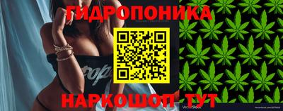 дмт Канаш